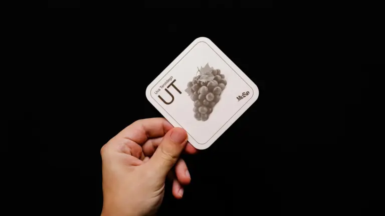 Muse Caffè – La Trasparenza a tavola